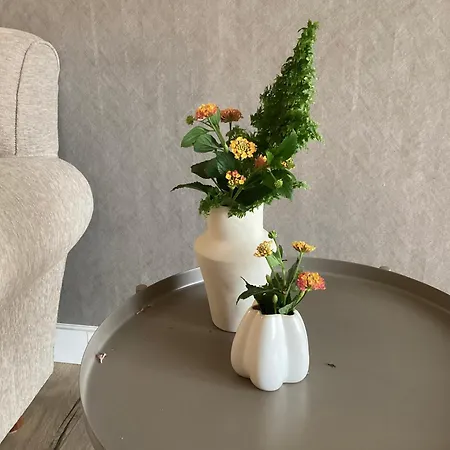 Charming Ribeira Apartamento