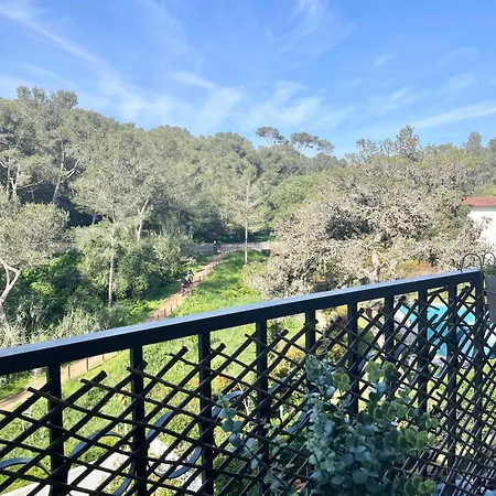 Apartment Charming Ribeira