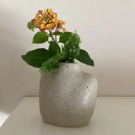 Apartamento Charming Ribeira *