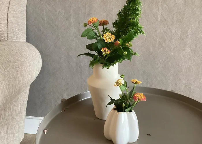 Charming Ribeira Appartement