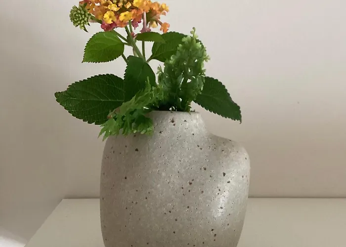 Appartement Charming Ribeira *